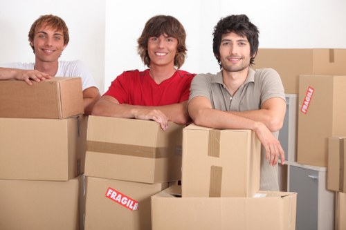 Packing and preparation for a man and van move in Orpington