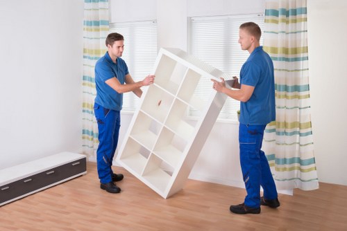Professional packing materials used for fragile items