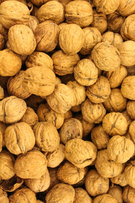 Close-up view of a large pile of whole walnuts with their hard, textured shells in natural light. The walnuts are piled together, filling the frame, with some shells showing cracks and natural imperfections. The image emphasizes the earthy, tan-brown colour of the shells and their rough surface. This detailed visual focus on walnuts is relevant for content related to packing or storage items during a house removal or furniture transport process. Man with Van Orpington, a professional removals service, may use such visuals to illustrate packing materials or fragile item handling during a home relocation. The background shows the walnuts occupying the entire space, highlighting their prominence in the image, with no other objects or furniture visible.